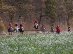 IMG_9705web